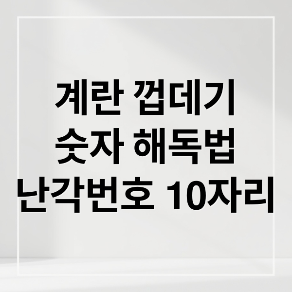 계란 난각번호 10자리 해독 가이드: 산란일자 확인 및 사육환경 1~4번 차이점