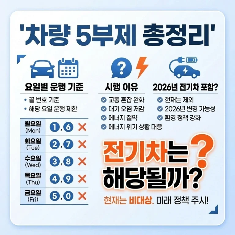 차량 5부제 요일부터 뜻 시행하는 이유 총정리 썸네일